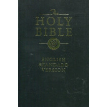 聖經-標準英文硬皮(缺貨)