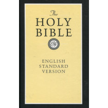 標準英文硬皮-聖經(缺貨)