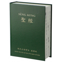 現代台語譯本漢羅版聖經 /綠色硬面白邊