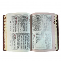 聖經-和合中型儷皮神版紅字索引(霧紫金)