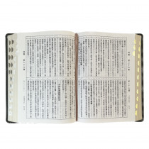 聖經-和合大字儷皮神版紅字索引(古典灰)