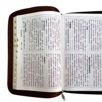 (花紋金)大字皮面拉鍊索引_9系列和合本聖經