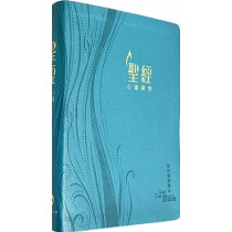 聖經-環球聖經譯本/心靈關懷儷皮金邊(湖藍)